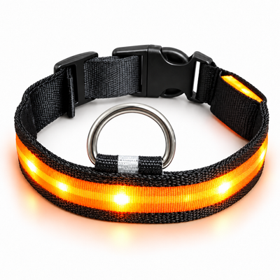 LumiPaseo — Collar LED recargable para perros