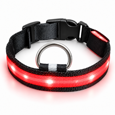 LumiPaseo — Collar LED recargable para perros