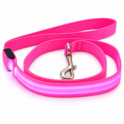 LumiPaseo — Correa LED para perros